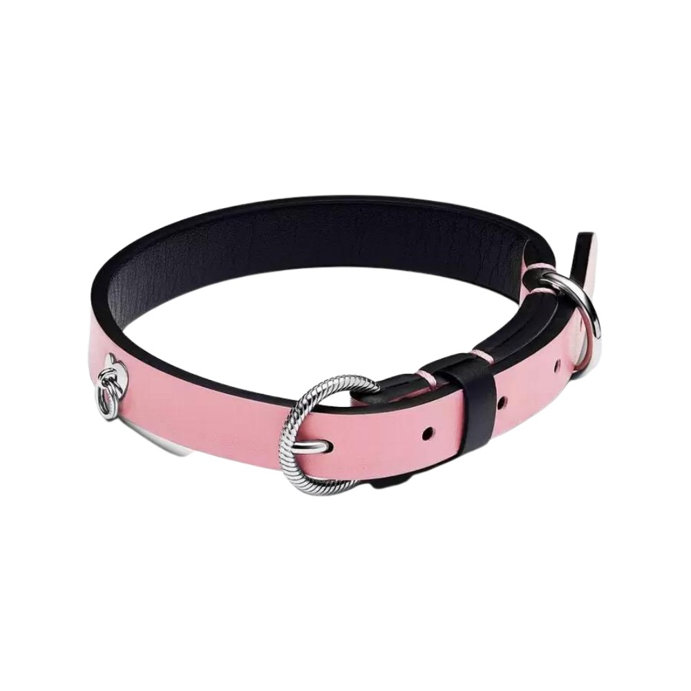 Pet collar with stainless steel, black a